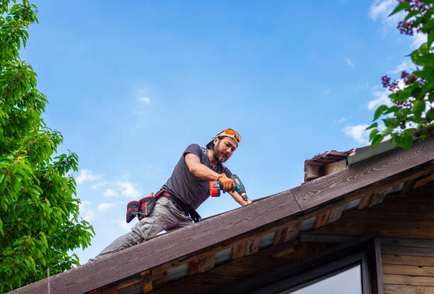 Best Skylight Installation and Repair  in Pico Rivera, CA